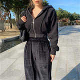 Autumn and Winter New Korean Style Hooded High Waist Casual Zipper Cardigan Coat Fashionable Sports Short Sweater Women's Fashion