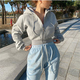 Autumn and Winter New Korean Style Hooded High Waist Casual Zipper Cardigan Coat Fashionable Sports Short Sweater Women's Fashion