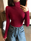 2023 Autumn Winter Thick Sweater Women Knitted Ribbed Pullover Sweater Long Sleeve Turtleneck Slim Jumper Soft Warm Pull Femme LANFUBEISI