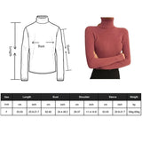 New Knitting Pullover Sweater Long Sleeve Bottom Shirt Slim Turtleneck Sweaters Autumn Winter Soft Blouse Jumpers For Women 2023 LANFUBEISI