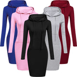 Ladies Dress Autumn Women Hooded Dresses Hoodies Women Sweatshirts Women Hoodies Dress Tops Ladies Clothing LANFUBEISI