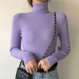 New Knitting Pullover Sweater Long Sleeve Bottom Shirt Slim Turtleneck Sweaters Autumn Winter Soft Blouse Jumpers For Women 2023 LANFUBEISI