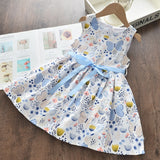 LANFUBEISI Baby Girl Clothes  Toddler Dresses 2022 Summer Style Children Floral Pattern Costume Girl Clothes Kids Dress For Girls Casual Dresses LANFUBEISI