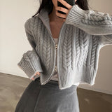 Autumn Winter Women's Clothing Korean INS Long Sleeve Polo Collar Sweater Coat Retro Double Zipper Twists Knitted Cardigan LANFUBEISI