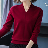 LANFUBEISI New Winter Fall Sweater Knitted V-Neck Casual Pullover Women Long Sleeve Female Clothes Womens Sweater Pullover Jumpers Mujer LANFUBEISI