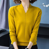 LANFUBEISI New Winter Fall Sweater Knitted V-Neck Casual Pullover Women Long Sleeve Female Clothes Womens Sweater Pullover Jumpers Mujer LANFUBEISI