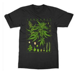sunfiz HJN Dandelion Vintage Botanical Tshirt, Hiking TShirt, Botanical Print Shirt, Dandelion Shirt, Vintage Tee Lanfubeisi