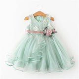 Flower Newborn Baby Dress New Summer Cute Baby Girls Clothes Tulle Lace Infant XMAS Party Clothing 1 Year Birthday Dress Lanfubeisi