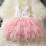 Flower Newborn Baby Dress New Summer Cute Baby Girls Clothes Tulle Lace Infant XMAS Party Clothing 1 Year Birthday Dress Lanfubeisi