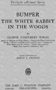 Bumper the White Rabbit in the Woods book cover